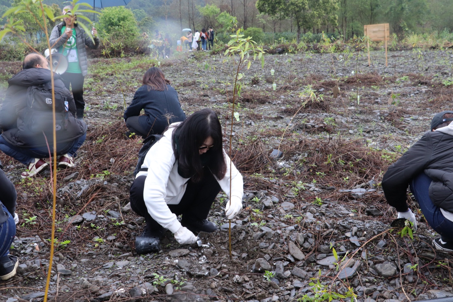 安富利同仁在宜蘭好森林基地親手種下樹苗，完成企業永續植樹行動。