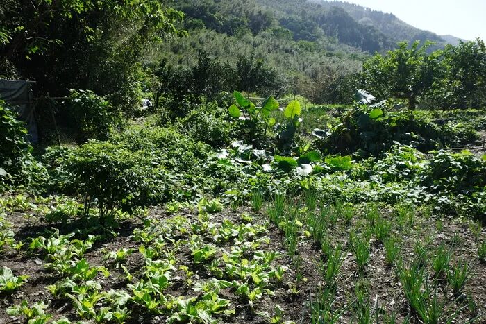 Understanding the Impact of Climate Change on Aboriginal Communities