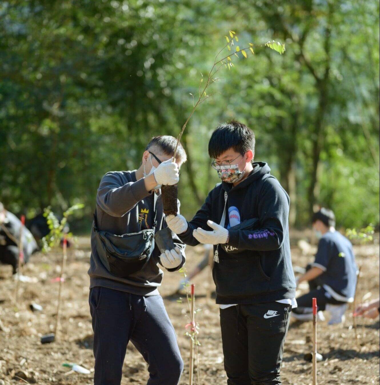 Enterprise Tree Planting Event - Zuellig Pharma Plants Saplings to Demonstrate Sustainable Social Influence