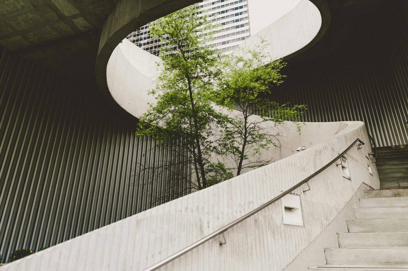 Reimagining Corporate Social Responsibility Through Sustainability