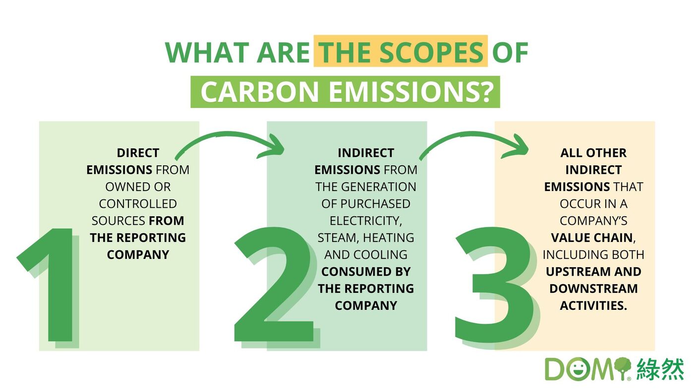 Understanding Scope 3 Emissions and Their Importance